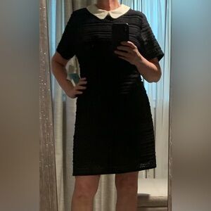 Cece Black Dress, White Collar & Eyelet Lace, Short Sleeves, Size XL, NWT